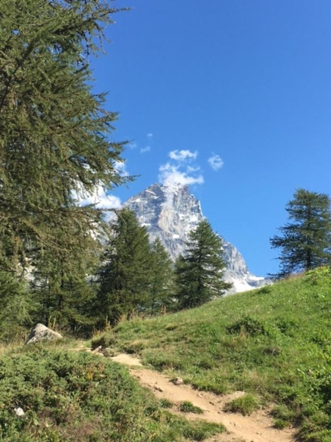 Casa Cervinia Circus Daire Breuil-Cervinia Dış mekan fotoğraf