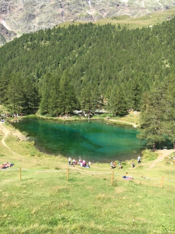Casa Cervinia Circus Daire Breuil-Cervinia Dış mekan fotoğraf