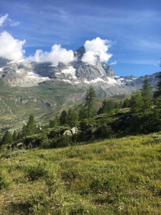 Casa Cervinia Circus Daire Breuil-Cervinia Dış mekan fotoğraf